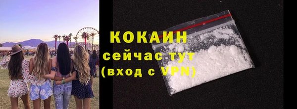 стаф Аркадак