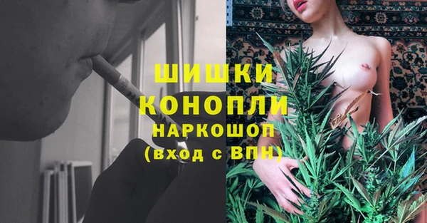стаф Аркадак