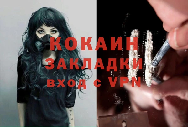 стаф Аркадак
